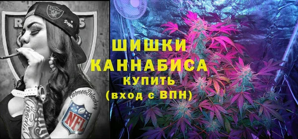 стафф Гвардейск