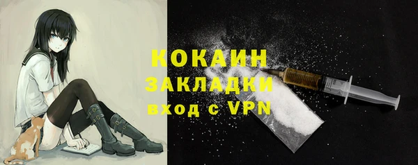 винт Пересвет