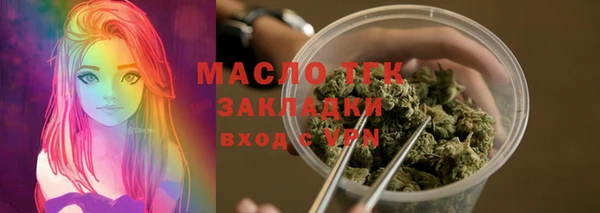 винт Пересвет