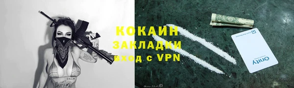 винт Пересвет