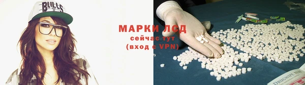 винт Пересвет