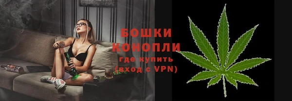 винт Пересвет