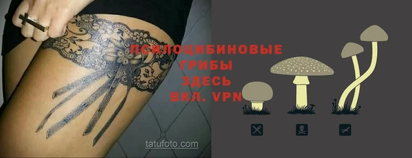 ПСИЛОЦИБИНОВЫЕ ГРИБЫ Переславль-Залесский