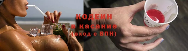 винт Пересвет