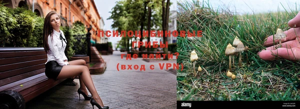 соль ск Пестово
