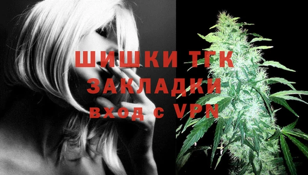 ПСИЛОЦИБИНОВЫЕ ГРИБЫ Переславль-Залесский