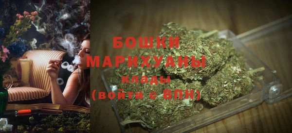 винт Пересвет