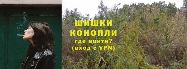 винт Пересвет