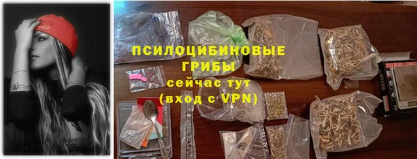 винт Пересвет