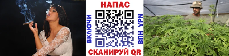 Конопля марихуана  Кириллов 